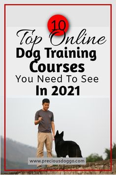 a man and his dog with the title top online dog training courses you need to see in 2021