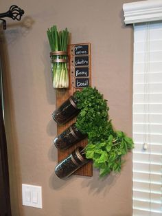 a wall mounted herb planter with mason jars and herbs on it's side