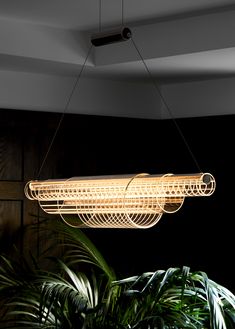 a light fixture hanging from the ceiling over a plant