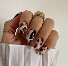 Tortoiseshell Nail Art, Nail Designs 2025 Trends, Nail Design 2025, Nails Pictures Ideas, Uñas Animal Print, Uñas Ideas