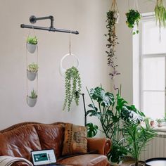 a living room filled with furniture and lots of plants