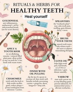 دورة شهرية, Medical Herbs, Teeth Health, Natural Healing Remedies, Herbal Healing, Home Health Remedies, Herbs For Health, Teeth Care, Healing Herbs