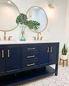 a bathroom with two sinks, mirrors and a plant in the middle of the room