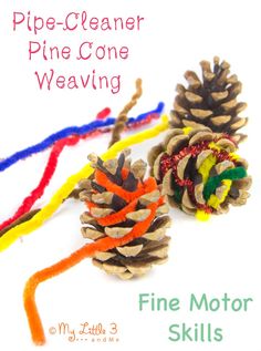 two pine cones are sitting next to each other on a white background with the words fine motor skills written below them