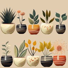 an assortment of potted plants in different shapes and sizes on a light colored background