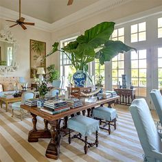 a living room filled with furniture and a large plant in the middle of the room