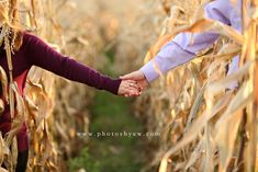 two people holding hands in a corn field