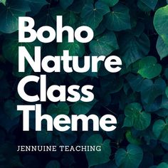 the cover of boho nature class theme is surrounded by green leafy plants and leaves