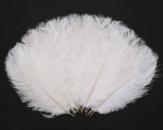 a white feather on a black background