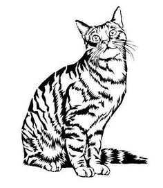 a black and white drawing of a cat sitting on top of a floor with its eyes open