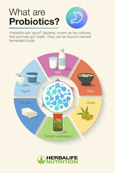 What are probiotics and how are they different from prebiotics? Learn the best food sources and how to take digestive supplements correctly. #HerbalifeNutrition #GutHealth Mint Juice Recipe, Mint Juice, What Are Probiotics, Digestive Supplements, Prebiotics And Probiotics, Probiotic Foods, Nutrition And Dietetics, Juice Recipe, Herbalife Nutrition