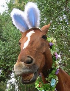 a horse with bunny ears on its head and flowers around it's neck is smiling