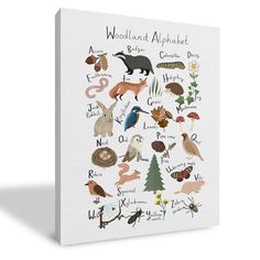 an illustrated poster with animals and their names on it's white canvas, featuring the words woodland alphabet