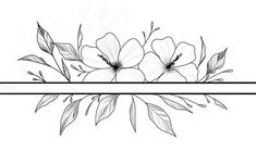 two lines with flowers and leaves in the middle, one line is black and white