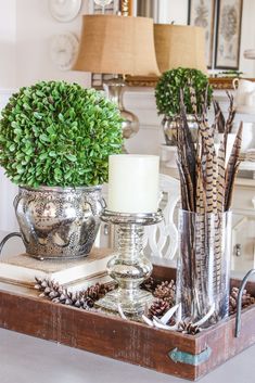 a tray with candles, pine cones and other decorative items