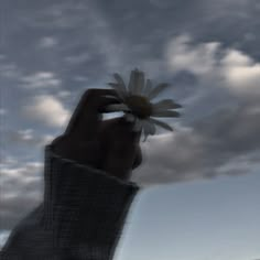 a hand holding a flower up to the sky with clouds in the backround