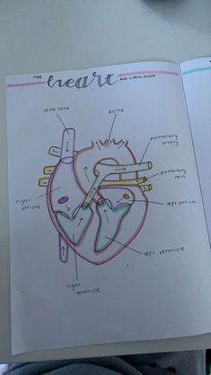 a diagram of the human heart on top of a book