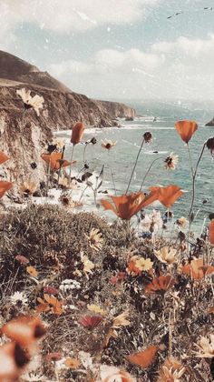 some very pretty flowers by the water and rocks with birds flying in the sky above