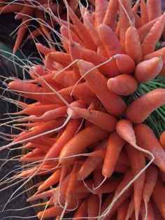 there are many carrots that have been picked from the tree and placed on top of each other