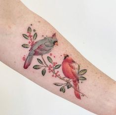 a couple of birds sitting on top of a branch next to eachother's arm