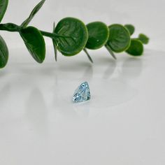 Aquamarines are the perfect go-to gem for any type of jewelry. The blue hues present wonderfully, especially against yellow gold 😊 Named after the Latin word for seawater, it is said that aquamarines kept sailors safe and waves calm. Fun fact: Aquamarine is the birthstone for March and the gem of the 19th wedding anniversary 💕 Care: You can clean it with warm soapy water (dish soap like Dawn is perfect) and a toothbrush! Most gems should be cleaned this way because ultrasonic cleaners can dama Brilliant Cut Blue Topaz Gemstones For Gift, Blue Gemstones With Brilliant Round Cut, Blue Brilliant Cut Gemstones As Gift, Brilliant Cut Blue Gemstones For Gift, Blue Round Cut Gemstones With Accent Stones, Blue Aquamarine Gemstones For Gifts, Blue Aquamarine Gemstones As A Gift, Blue Diamond Birthstone, 19th Wedding Anniversary