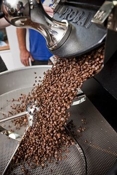 coffee beans being processed into a machine