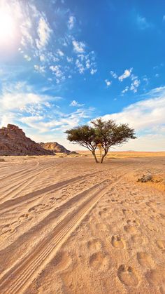 a lone tree stands in the middle of a sandy area with blue sky and clouds