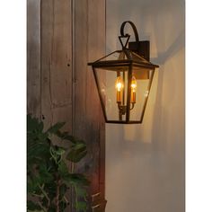 an outdoor light hanging on the side of a wall next to a potted plant