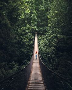 two people walking across a suspension bridge in the woods, with trees lining both sides