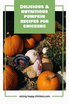 pumpkins and other vegetables with the words delicious & nutritious pumpkin recipes for chickens