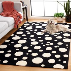 a dog laying on top of a black and white rug