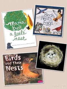 four books about birds and their nests