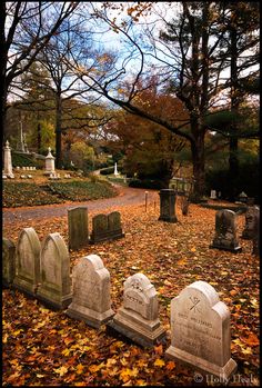 several headstones in the middle of a cemetery surrounded by leaves and trees with fall colors