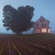 a large house sitting on the side of a lush green field next to a tree