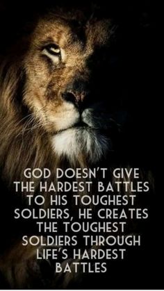 a lion with the quote god doesn't give the hardest battles to his toughest soldiers he creates