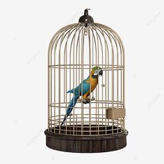 a blue and yellow bird in a cage on top of a wooden stand with a tag