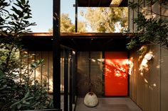 an orange door sits in the middle of a wooden decked area with potted plants