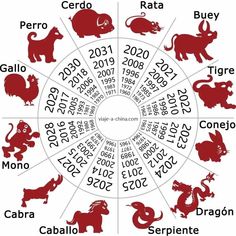 the zodiac wheel for chinese zodiacs with different animals and numbers in red on white