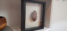 a piece of rock is in a frame on a shelf next to a potted plant