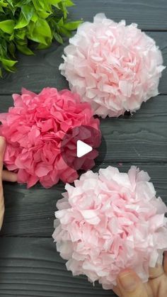 two pink tissue pom poms being held by someone's hands on a table