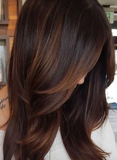 Warm Brunette Hair Color, Hair Color Brown Chestnut, Chestnut Brown Hair, Rambut Brunette, Peekaboo Highlights, Chestnut Hair, Chestnut Hair Color, Hair Color Light Brown, Ombre Hair Color