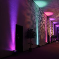 an empty hallway with purple lighting on the walls and potted plant next to it