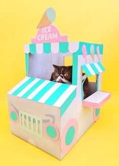 a cat sitting in a cardboard ice cream carton