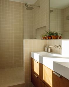 a bathroom with a sink, mirror and plants in the shower stall on the counter