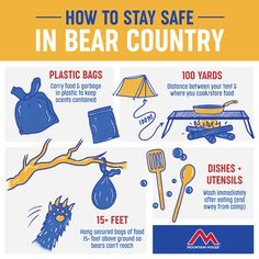 a poster with instructions on how to stay safe in bear country, including plastic bags and other items