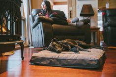 a woman sitting in a chair next to a dog sleeping on a bed near a fire place