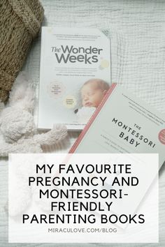 the book my favorite pregancy and montessori - friendly parenting books