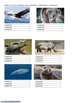 an animal worksheet with pictures of different animals and their names in english or spanish