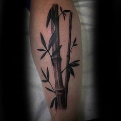 a black and grey bamboo tattoo on the arm