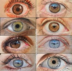 an image of different colored eyes